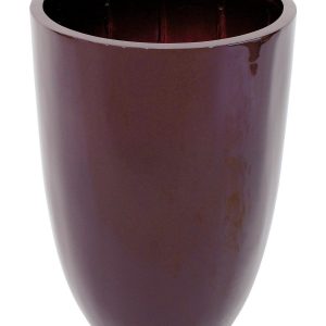 EUROPALMS LEICHTSIN CUP-69, braun, glänzend