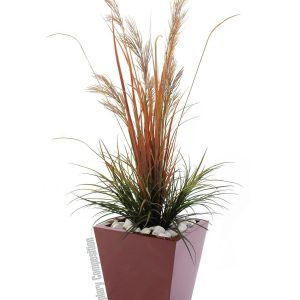 EUROPALMS LEICHTSIN BASIC-50, rot, glänzend