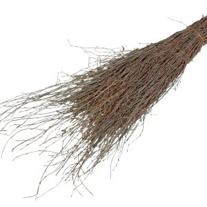 Reisigbesen ohne Stiel